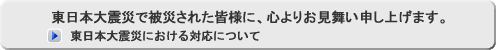 東日本大震災における対応について