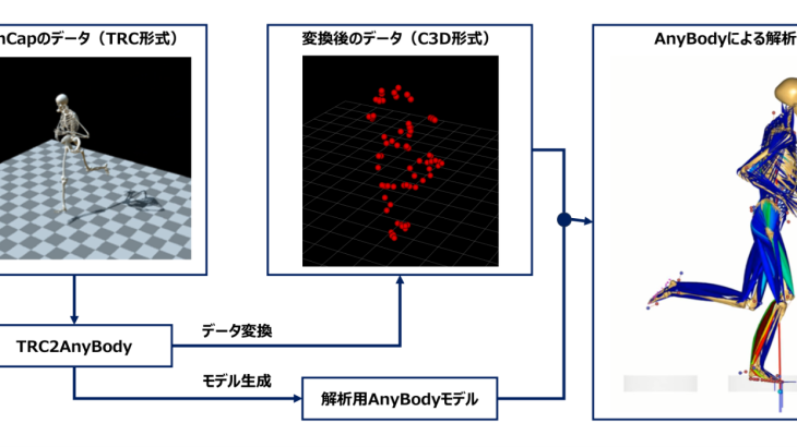 OpenCapのデータを使用したAnyBodyによる筋骨格モデル解析