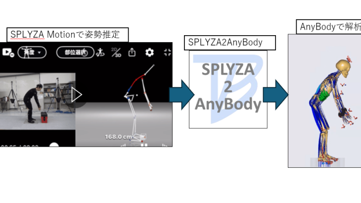 SPLYZA Motionのデータを使用したAnyBodyによる筋骨格モデル解析
