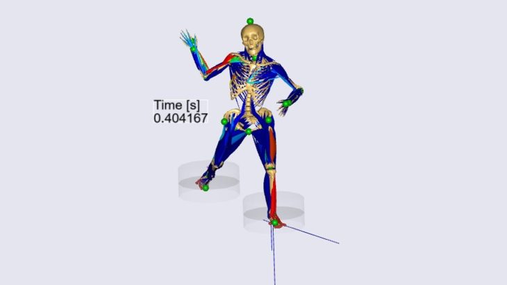 保護中: AnyBodyによる投球動作時の肩甲下筋張力推定