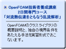  2日間専門コース「対流熱伝達をともなう乱流解析」