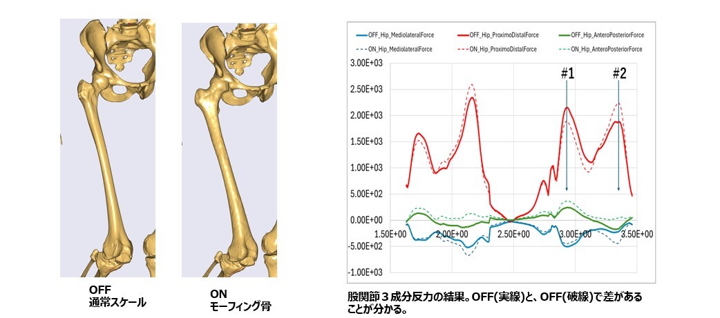 AnyBody-analysis-01-11