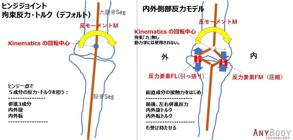 AnyBody-analysis-04-02