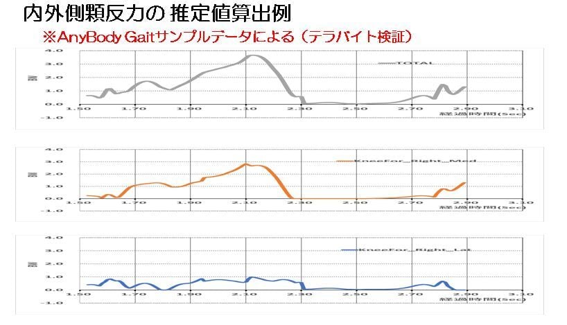 AnyBody-analysis-04-04