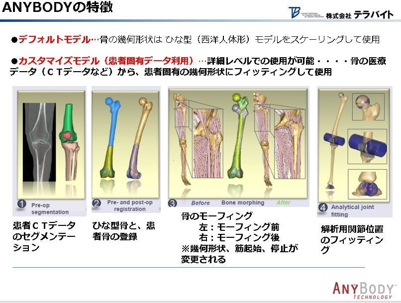 AnyBody-analysis-04-06