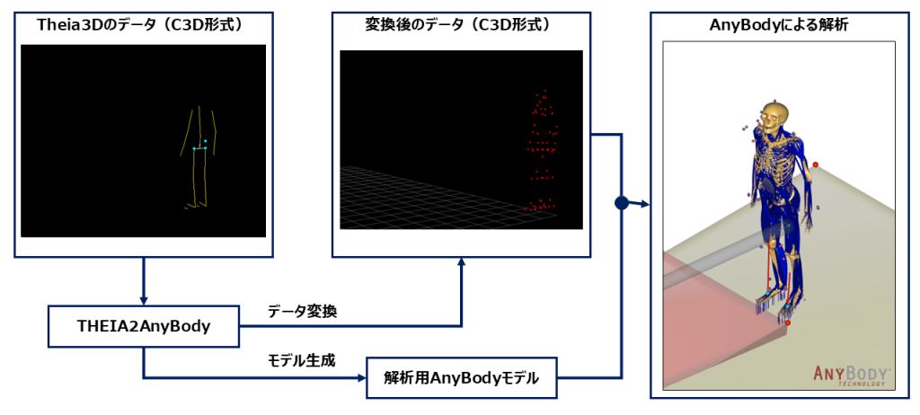 AnyBody-analysis-09-02