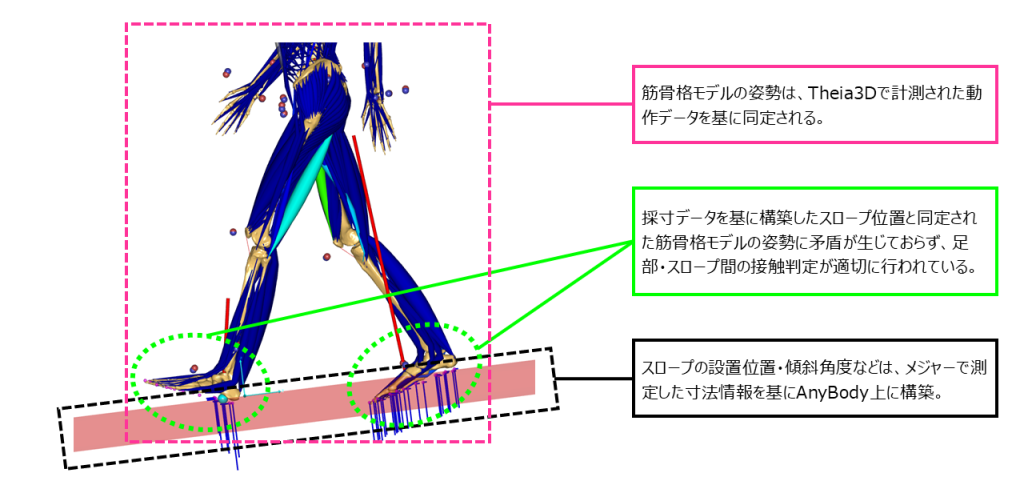 AnyBody-analysis-09-04