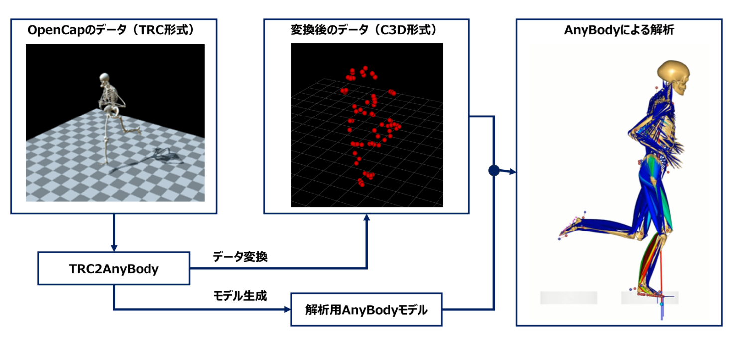 AnyBody-analysis-11-02