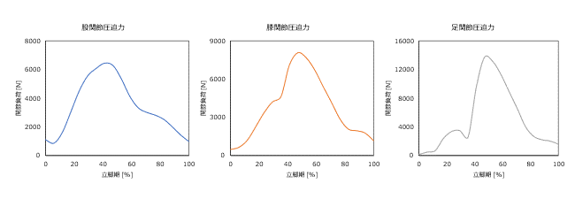 AnyBody-analysis-11-04