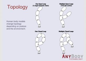 AnyBody-analysis-18-01