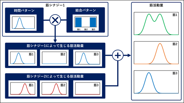 AnyBody-analysis-22-01