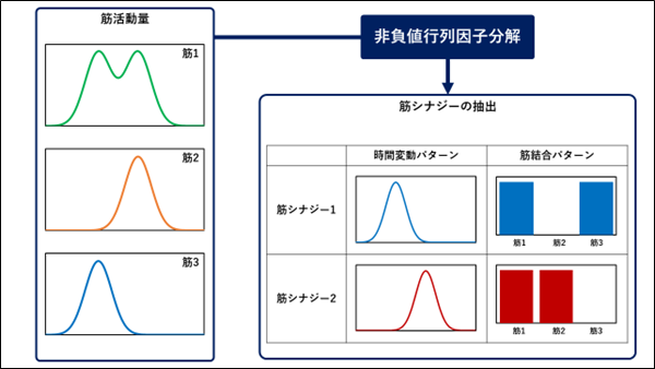 AnyBody-analysis-22-02