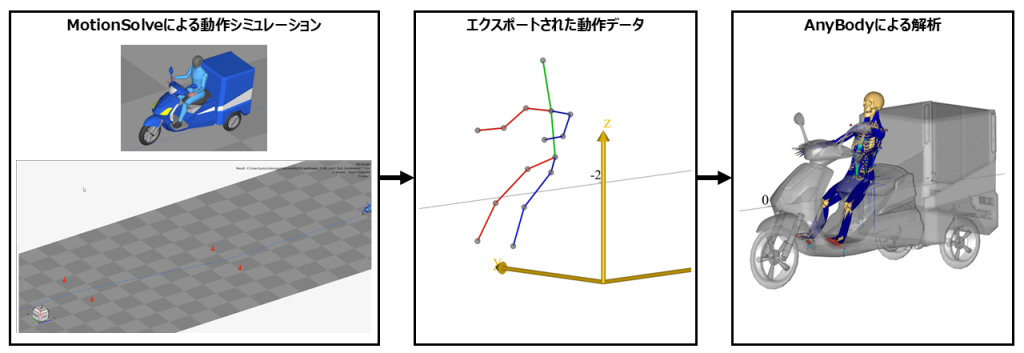 AnyBody-analysis-25-01