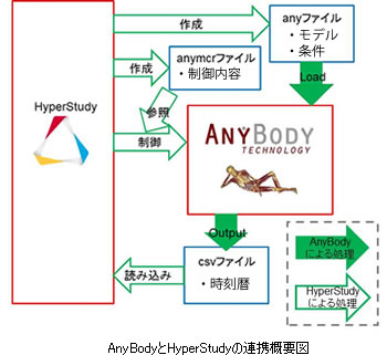 AnyBody-analysis-27-01