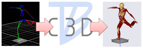Anybody-c3d-main