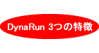 DynaRun-sub