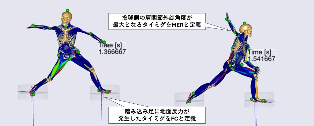 FC_MER-1-1024x412