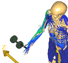 img07
