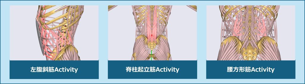 MuscleActivity-1024x284