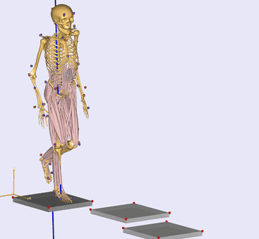 morphing_gaitsample