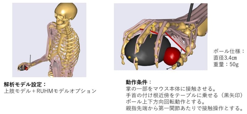 解析モデル設定と動作条件