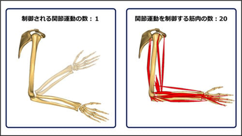 仕事内容を知る