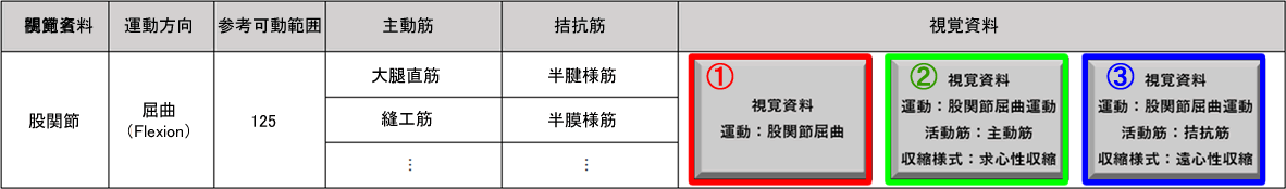 関節運動と筋作用の対応表