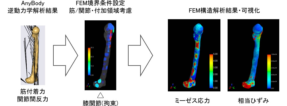 解析結果の可視化機能