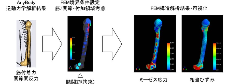 解析結果の可視化機能