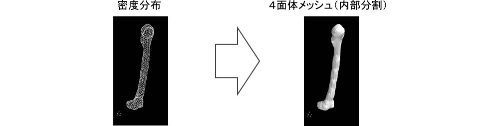 骨形状の有限要素メッシュ分割機能
