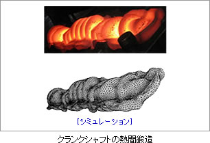 AFDEX_1_r5_c11