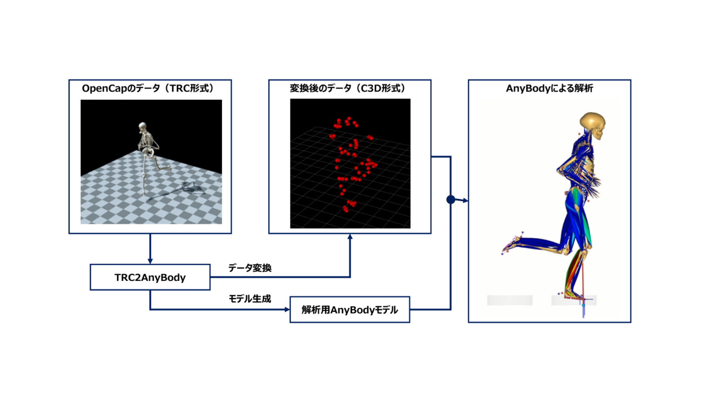 OpenCapのデータを使用したAnyBodyによる筋骨格モデル解析