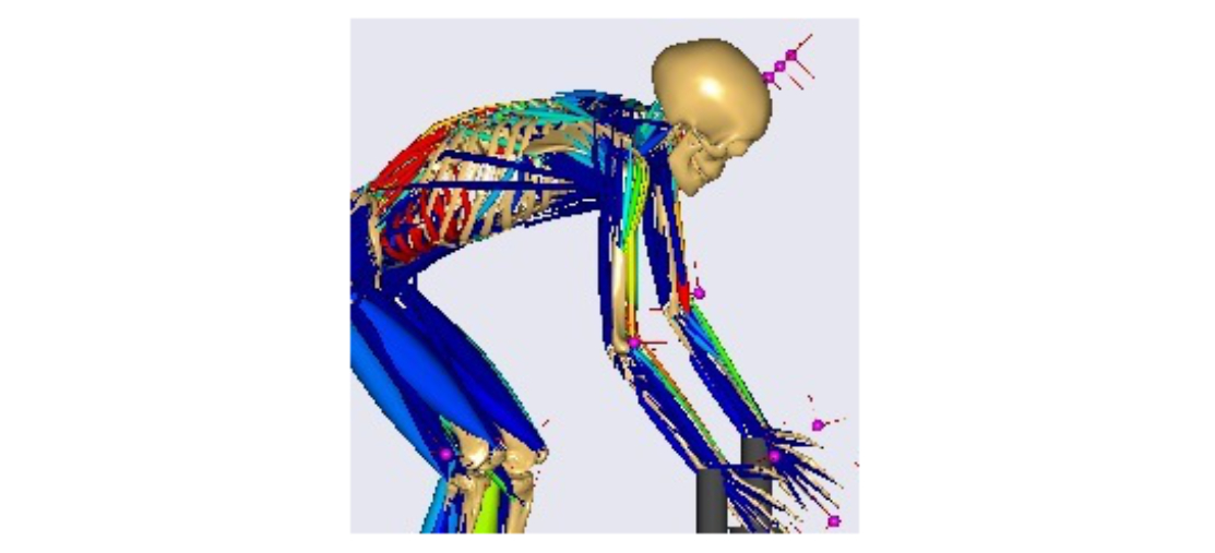AI姿勢推定ツールからの3Dモーションデータの活用