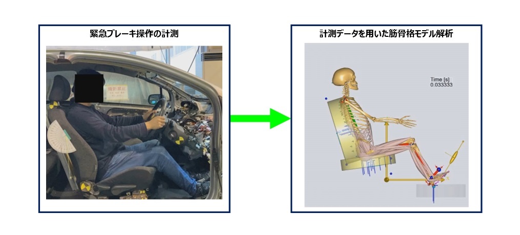 「なぜ、着座姿勢を変えることで高齢者ドライバーの緊急ブレーキ操作能力が向上するのか？」を解明サムネイル画像