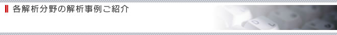 各解析分野の解析事例ご紹介