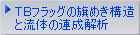 ＴＢフラッグの旗めき構造と流体の連成解析