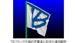 ＴＢフラッグの旗めき構造と流体の連成解析